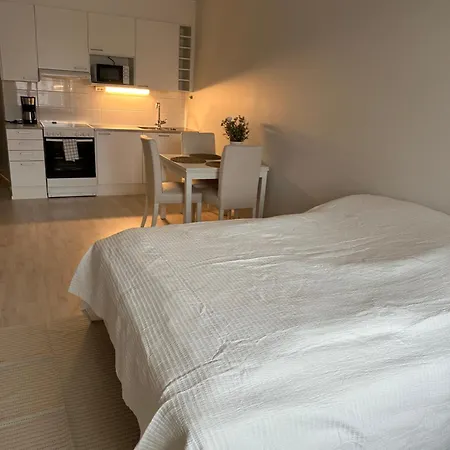 Tilava Yksioe Isolla Lasitetulla Parvekkeella Helsingfors