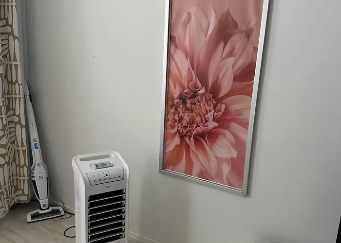 Lägenhet Tilava Yksioe Isolla Lasitetulla Parvekkeella Helsingfors