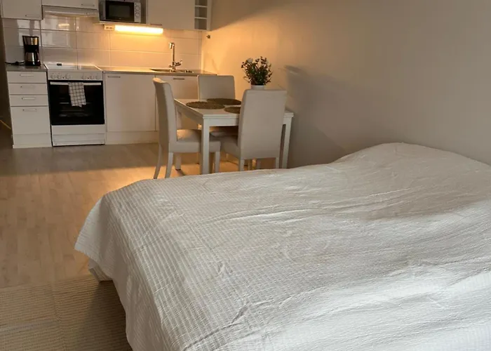 Tilava Yksioe Isolla Lasitetulla Parvekkeella Helsingfors